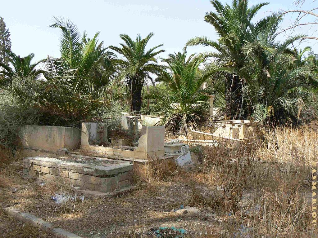 RELIZANE 2009 le cimetiere  (33).jpg